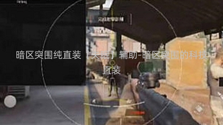 暗区突围纯直装【失眠】辅助-暗区突围的科技直装